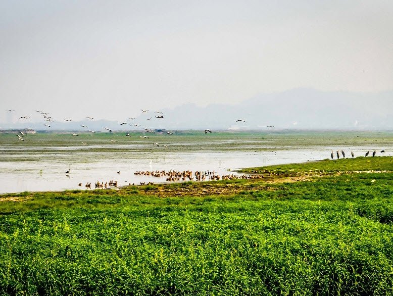 Deepor Beel Bird Sanctuary